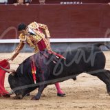 1V8A7468-Mejorado-NR