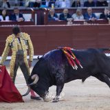 1V8A3868-Mejorado-NR
