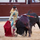 1V8A7185-Mejorado-NR